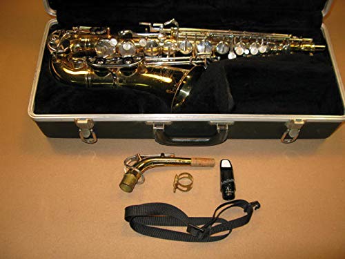 Alto Saxophone with Case Z336