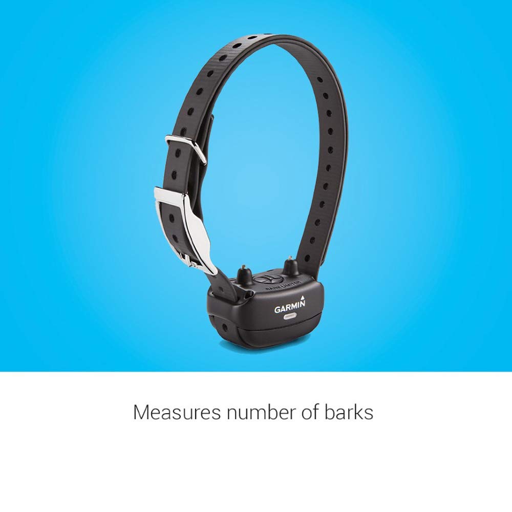 Rechargeable Dog Training Collar G2809