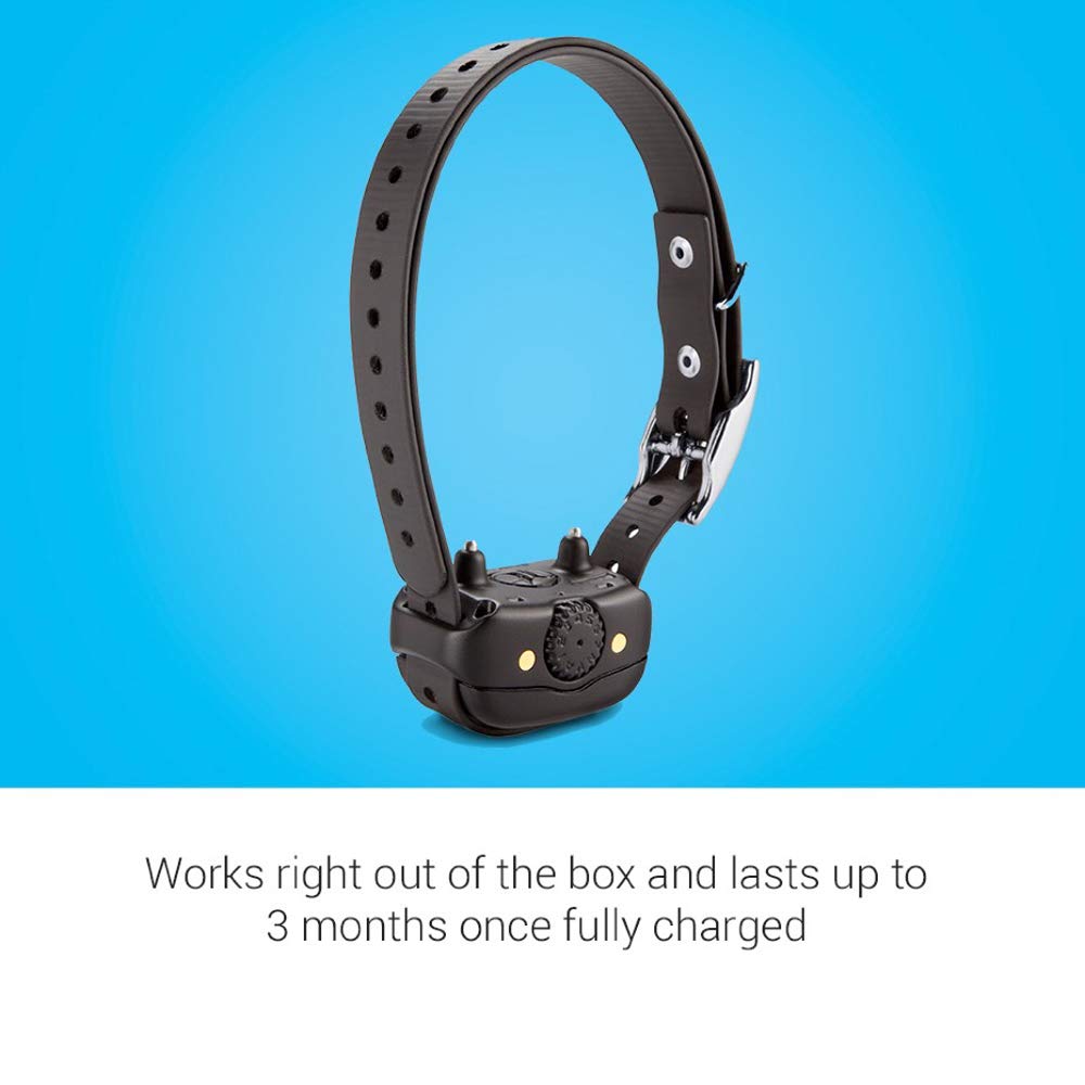 Rechargeable Dog Training Collar G2809