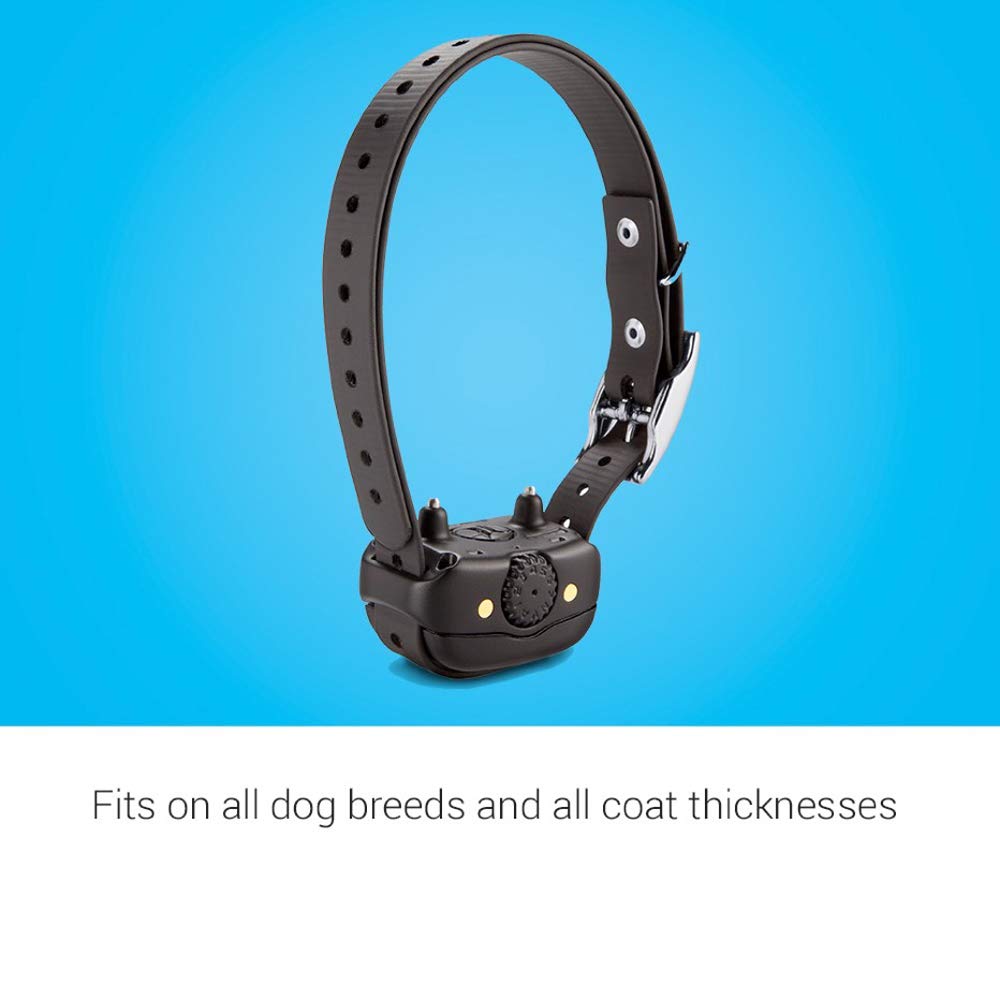 Rechargeable Dog Training Collar G2809