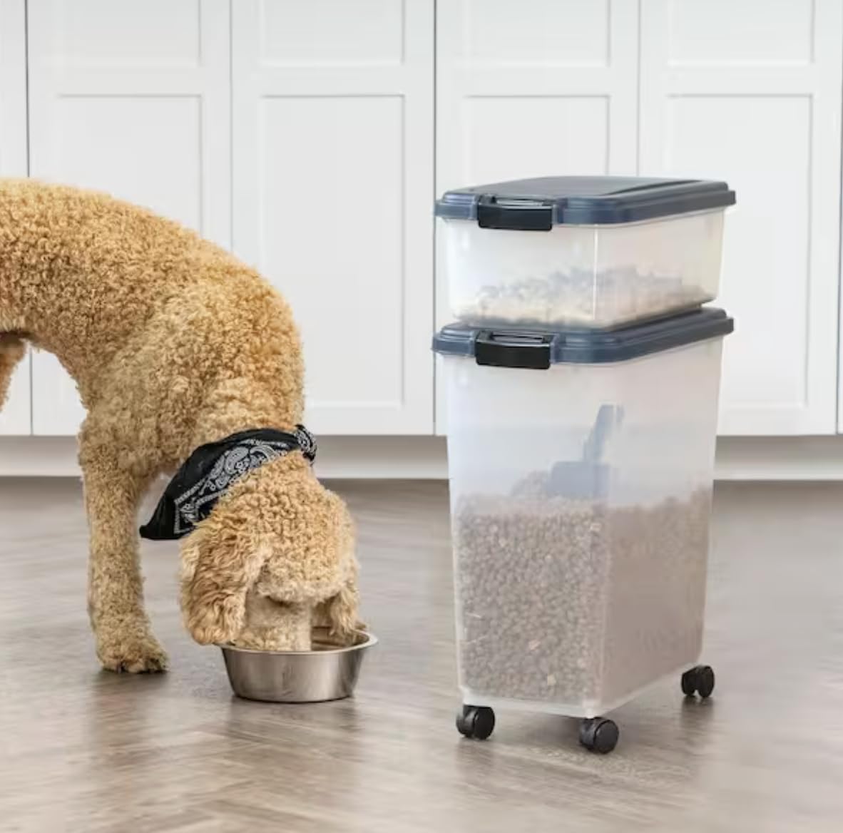 Airtight Pet Food Storage Combo with Scoop P404