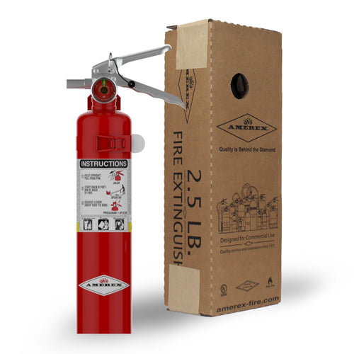 2.5 lbs ABC Dry Chemical Fire Extinguisher L672953