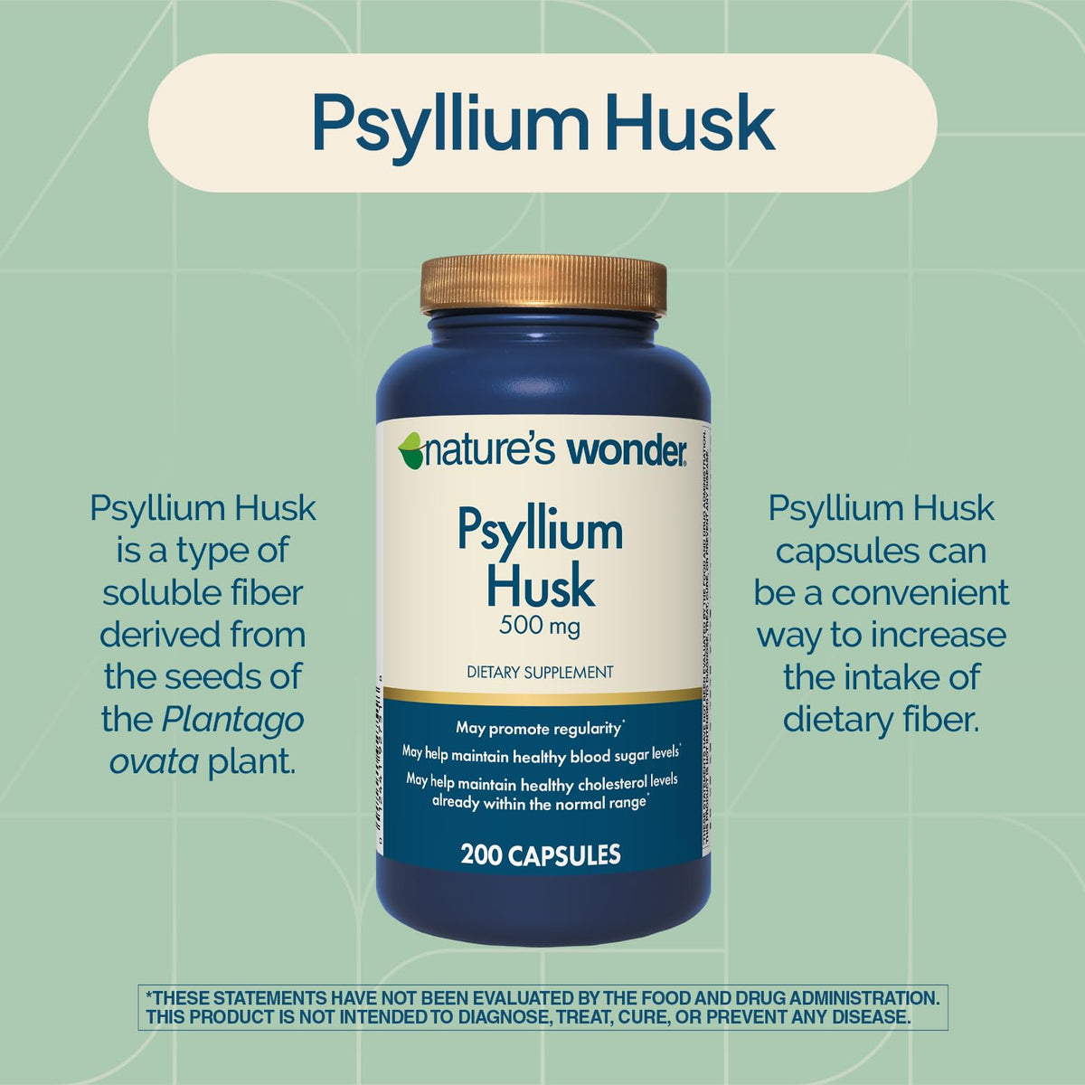 Psyllium Husk 500 mg Capsules 200 Count F4693
