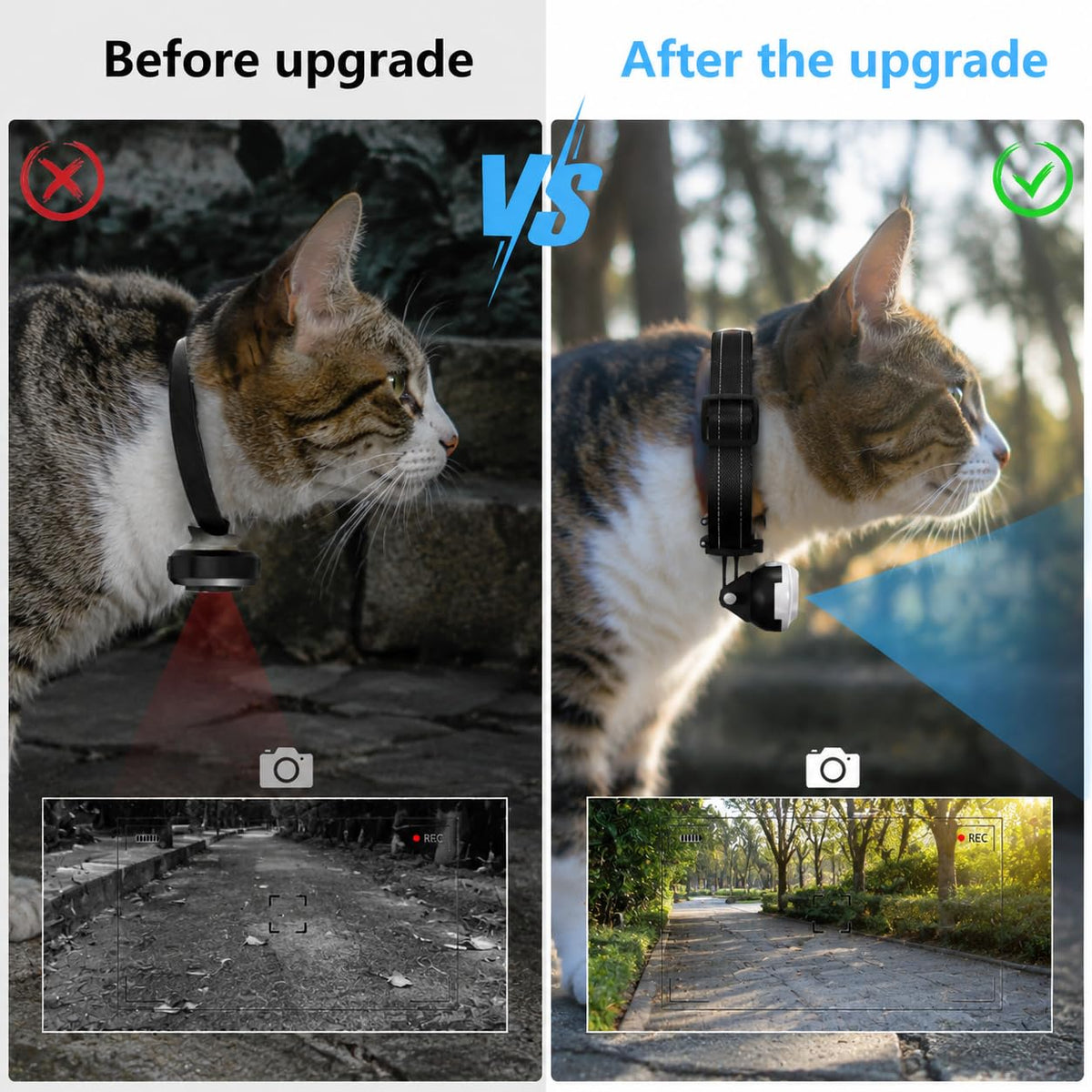 1080P Wireless Mini Pet Camera Collar N52388