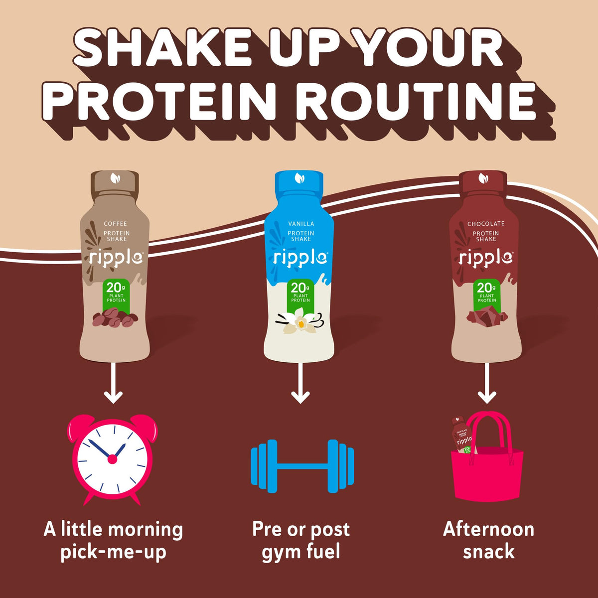 Chocolate Plant Based Protein Shake 20g Pea Protein Vegan Non GMO 12 Fl Oz Bottles Pack of 12 W665