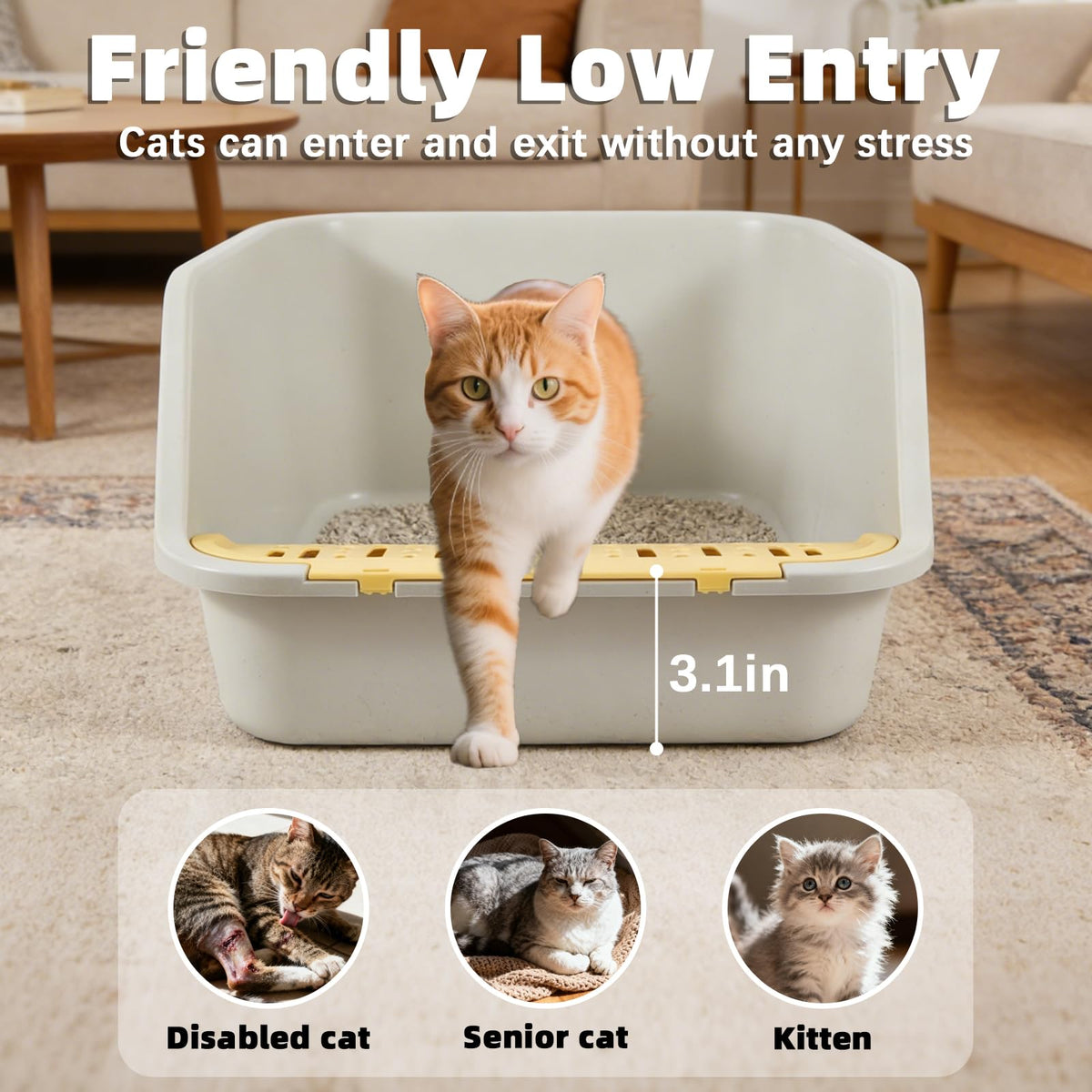 High Sides Open Top Cat Litter Box with Low Entry F178639