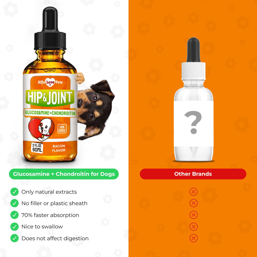 Liquid Glucosamine Chondroitin Dog Supplement 2 oz O926312