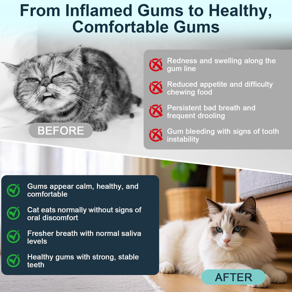 Natural Plant-Based Cat Oral Care K3217