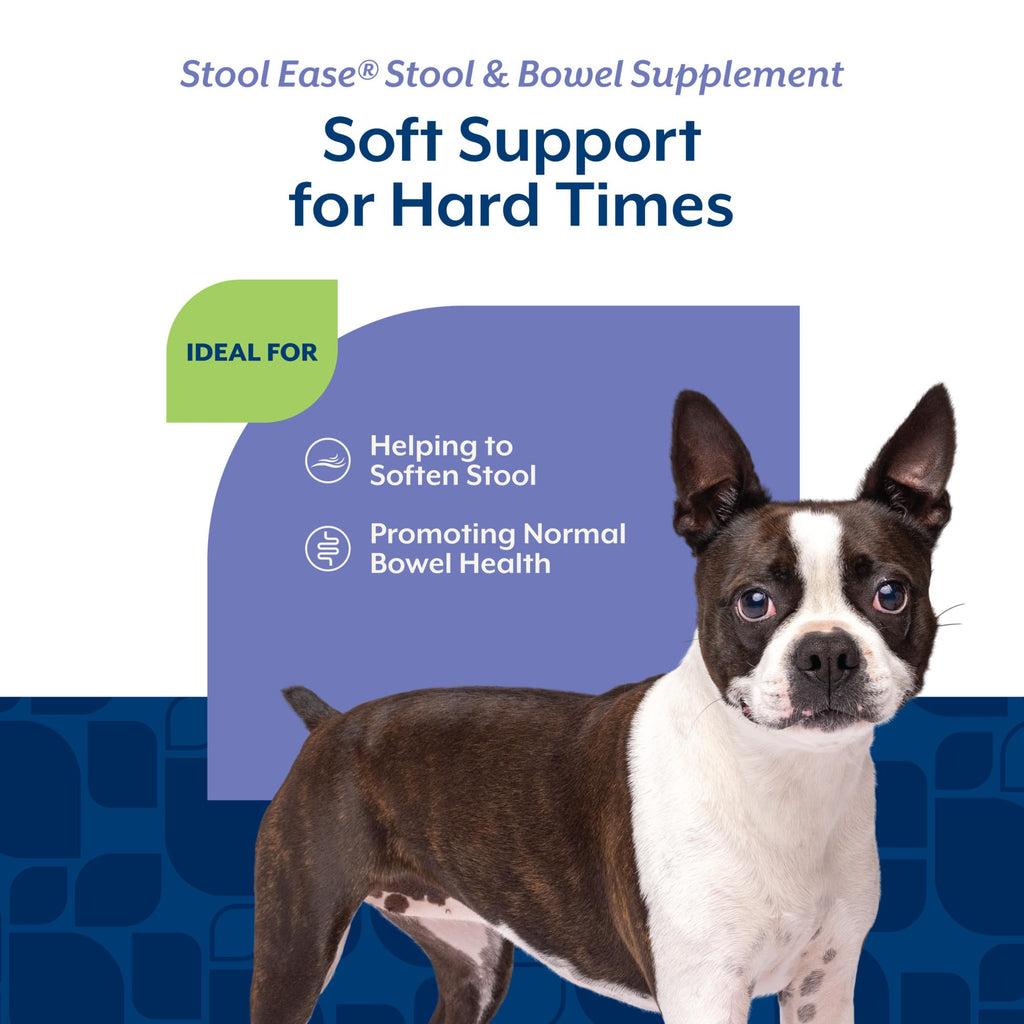 40 Soft Chews Dog Supplement N3882