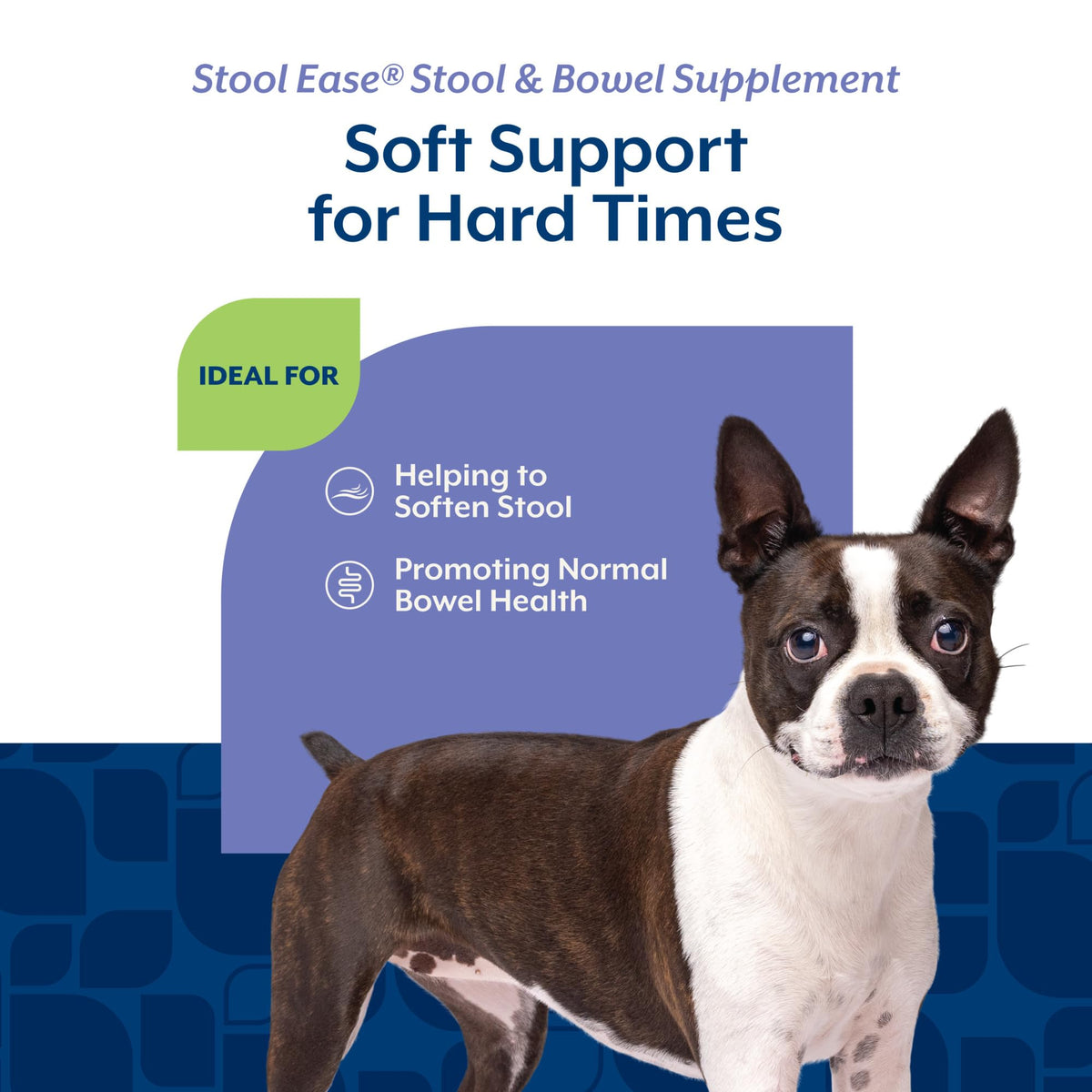 40 Soft Chews Dog Supplement N3882