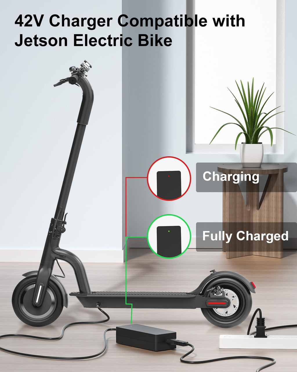 42V Charger for Electric Bike and Scooter W825