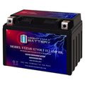 12 Volt 11.2 AH 230 CCA Rechargeable Maintenance Free SLA AGM Motorcycle Battery S302620