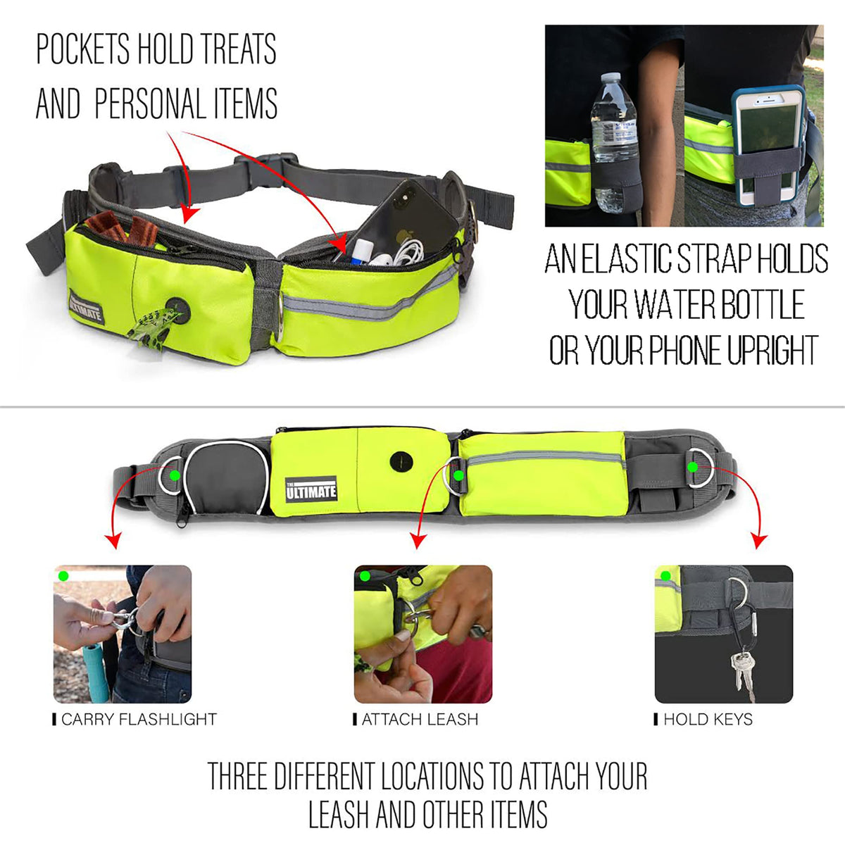 Hands Free Dog Leash with Reflective Bungee, Treat Holder, Poop Bag Dispenser A8044