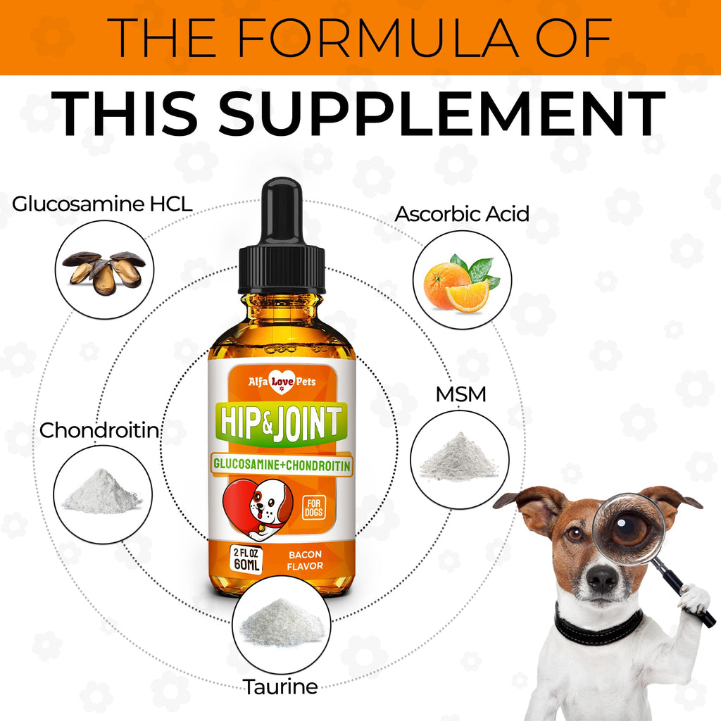 Liquid Glucosamine Chondroitin Dog Supplement 2 oz O926312