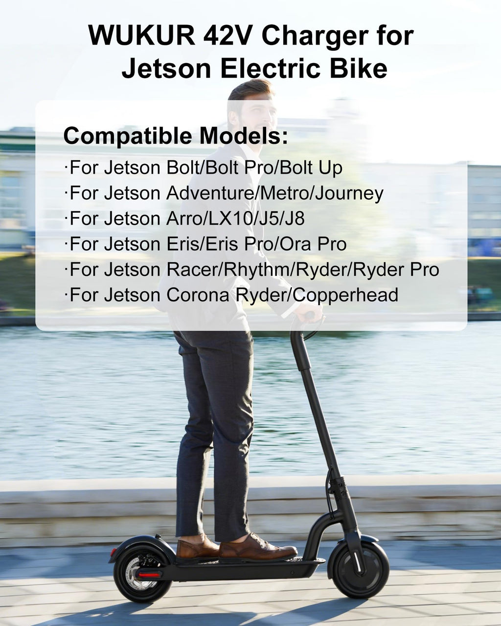 42V Charger for Electric Bike and Scooter W825