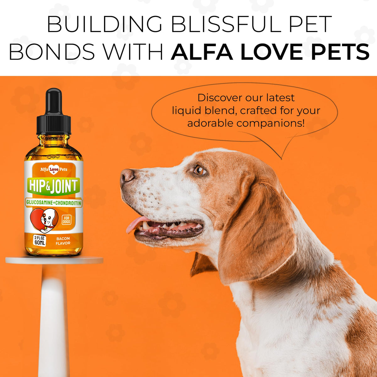 Liquid Glucosamine Chondroitin Dog Supplement 2 oz O926312