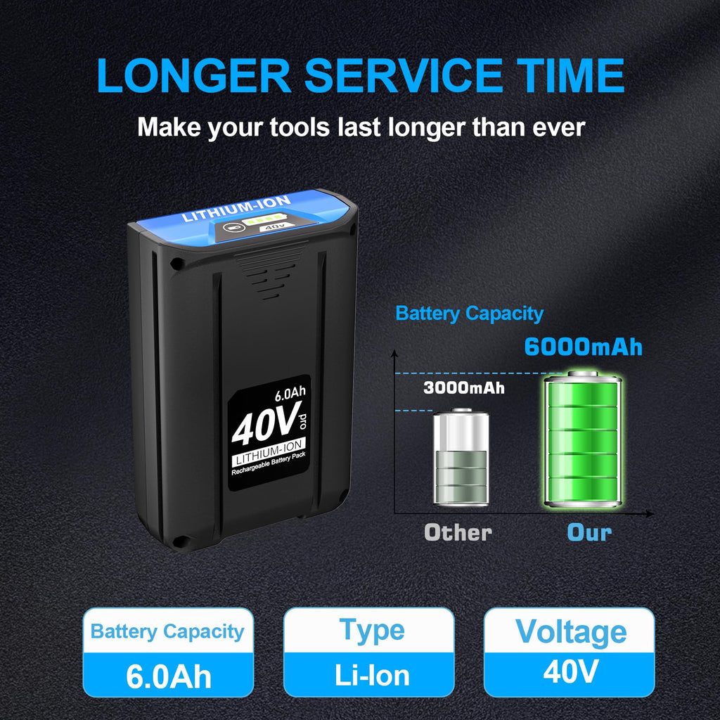 40V 6.0Ah Lithium-Ion Battery D199919