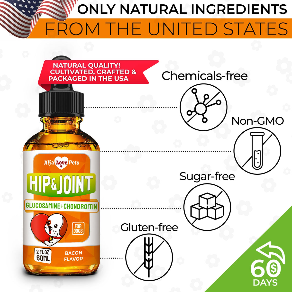 Liquid Glucosamine Chondroitin Dog Supplement 2 oz O926312