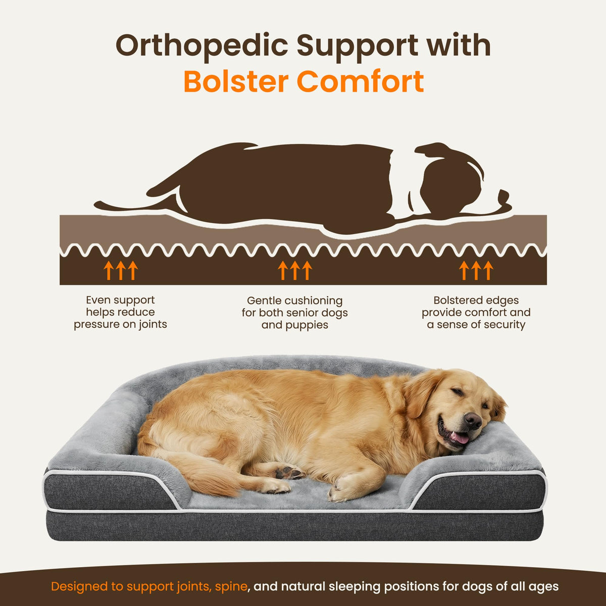 XL Orthopedic Dog Bed E54102