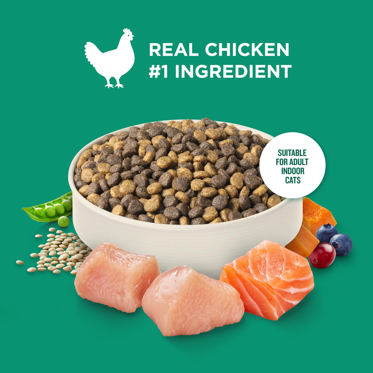 Indoor Complete Dry Cat Food 14 lb. Bag U2787