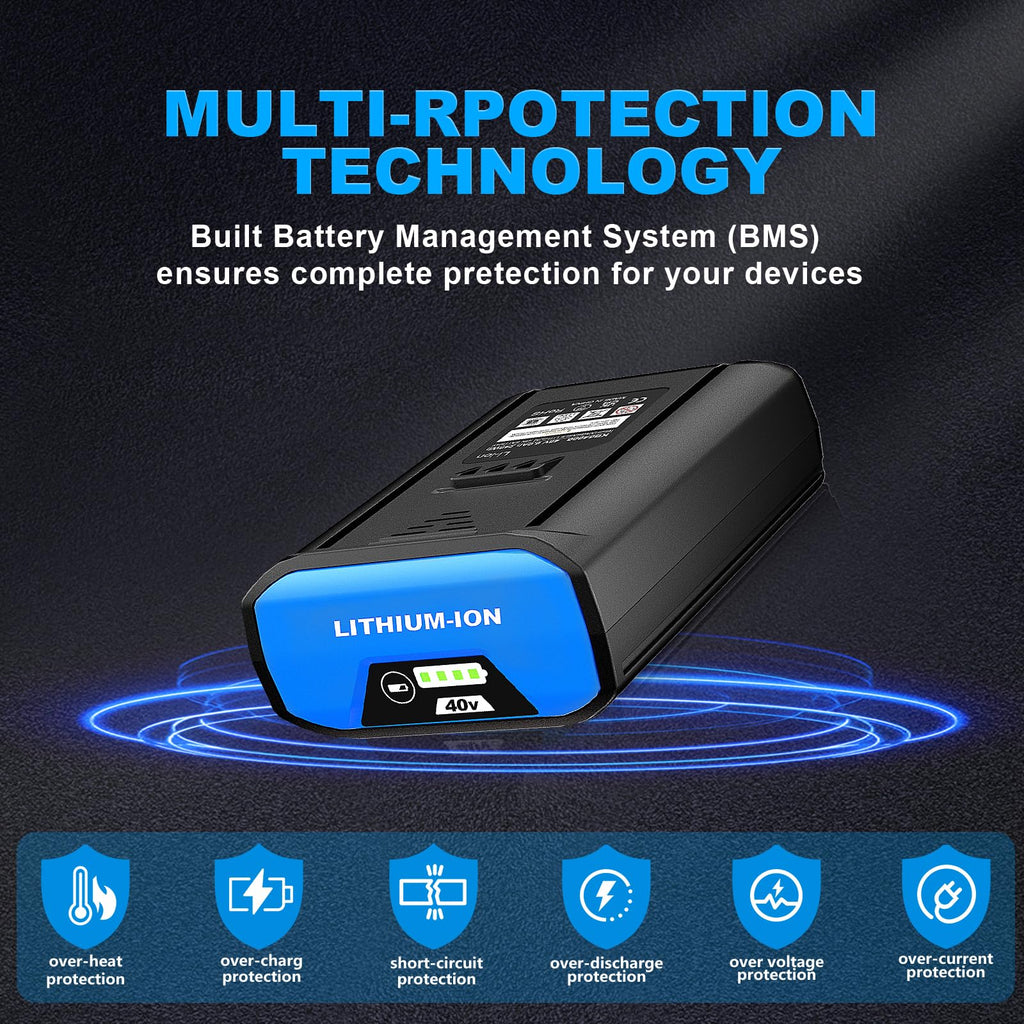 40V 6.0Ah Lithium-Ion Battery D199919