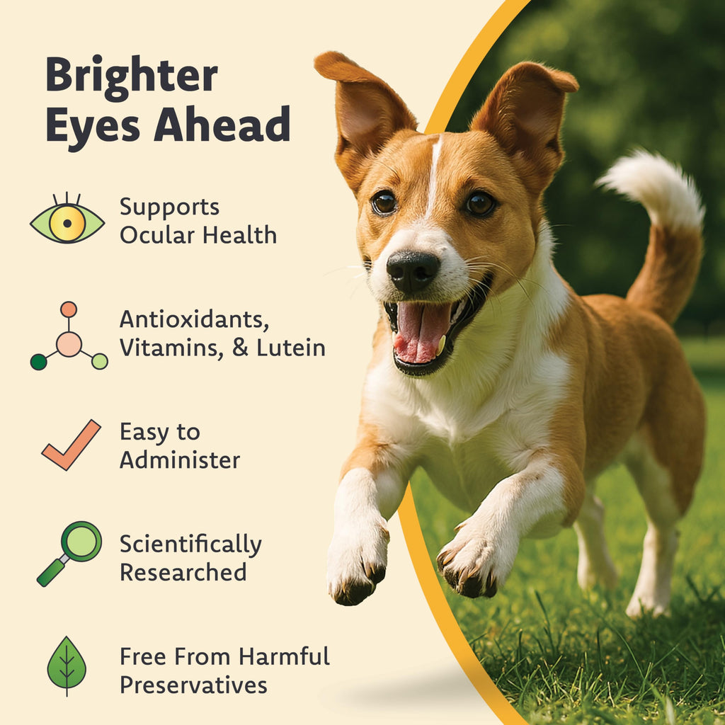 Lutein Omega-3 Liquid Gelcaps Vision Supplement for Small Dogs F731429