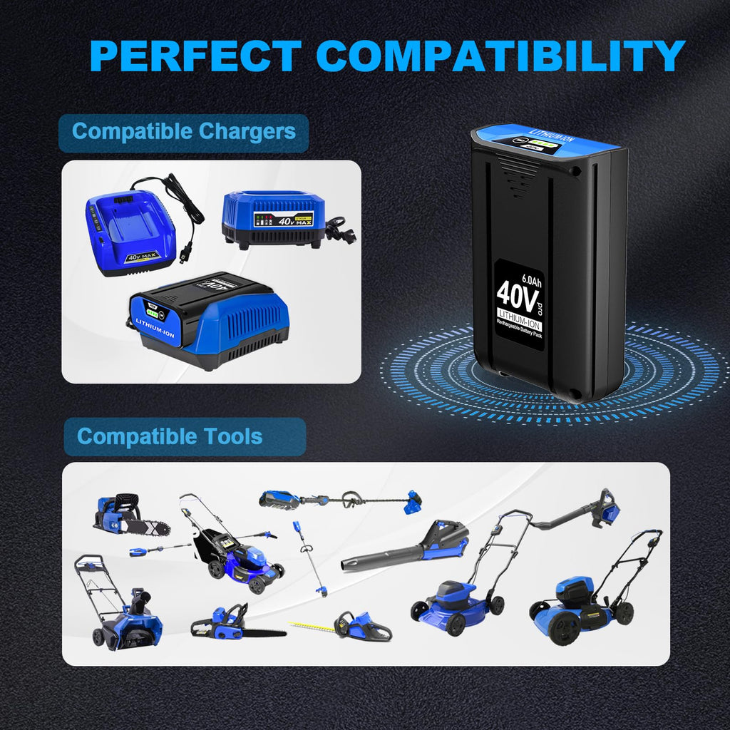 40V 6.0Ah Lithium-Ion Battery D199919