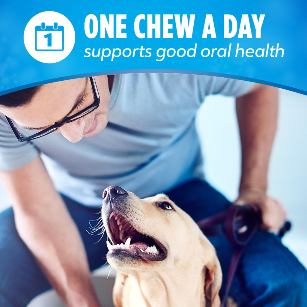 Daily Oral Care Dog Treats 40 ct J9080
