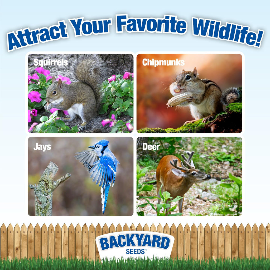 Backyard Wildlife Feed V33239
