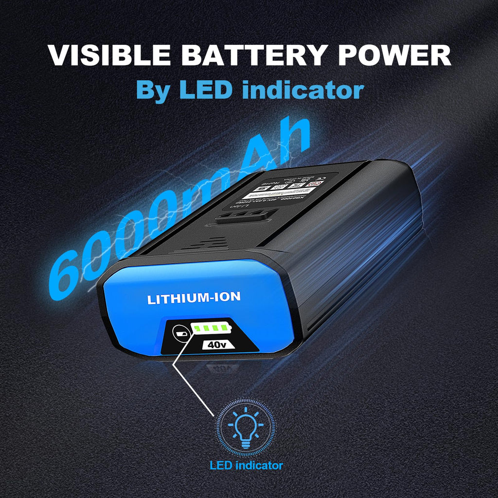 40V 6.0Ah Lithium-Ion Battery D199919