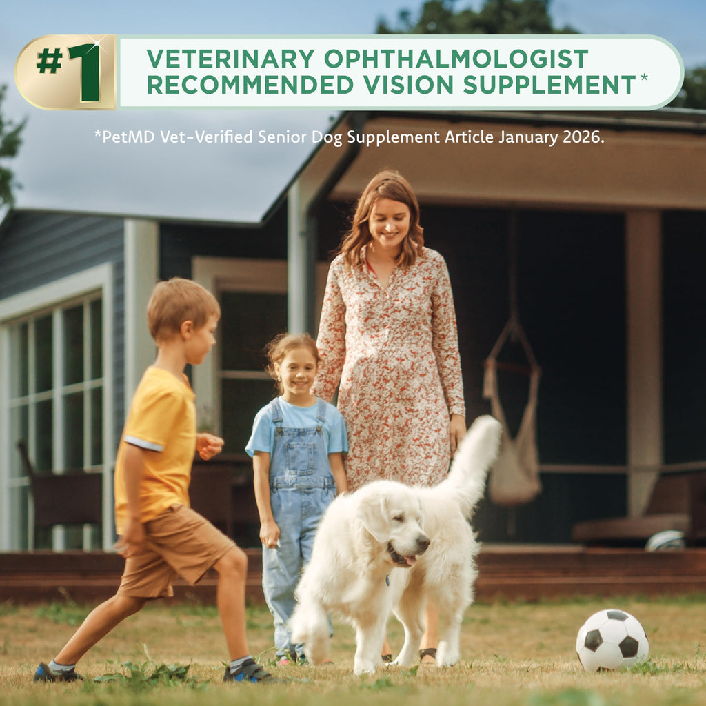 Lutein Omega-3 Liquid Gelcaps Vision Supplement for Small Dogs F731429