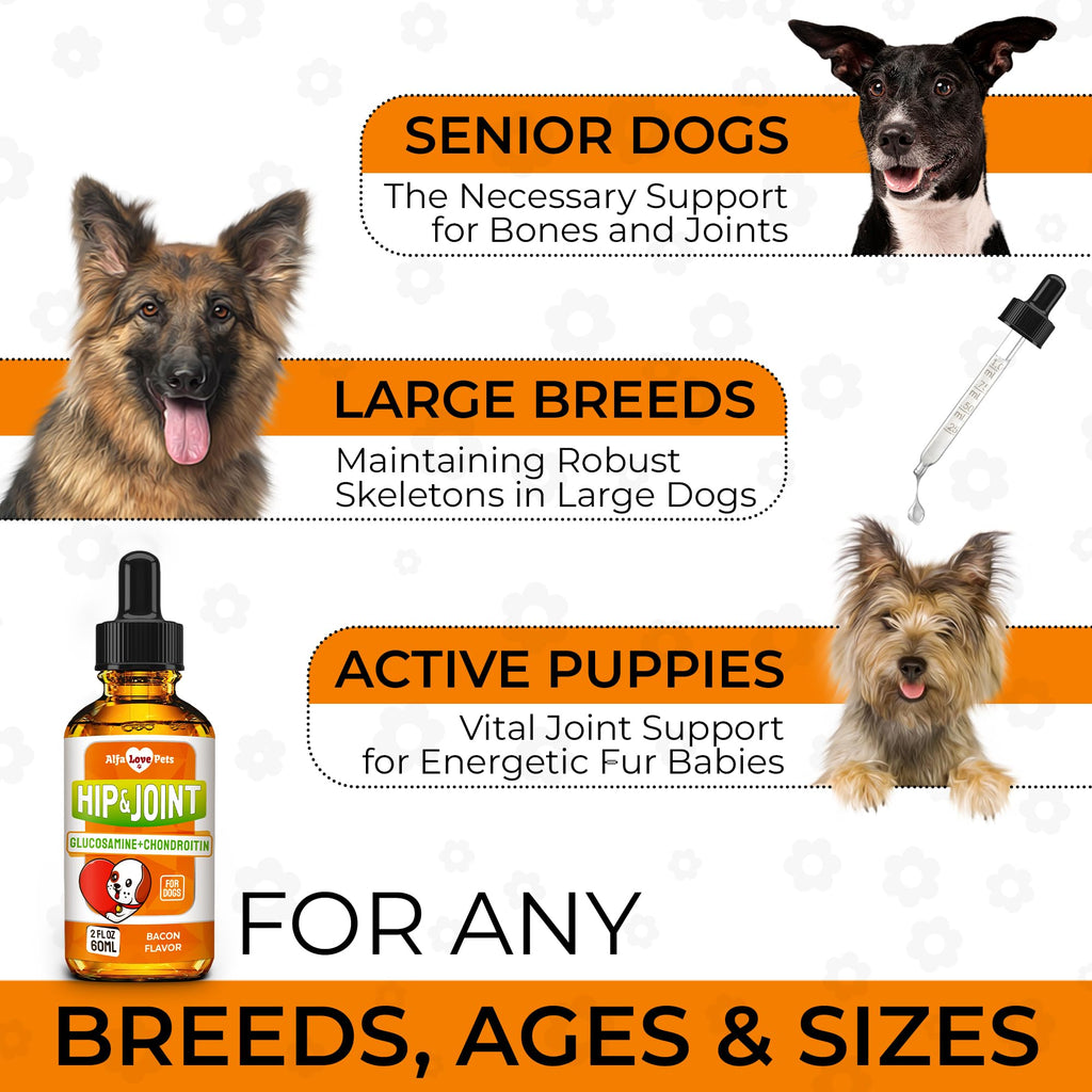 Liquid Glucosamine Chondroitin Dog Supplement 2 oz O926312