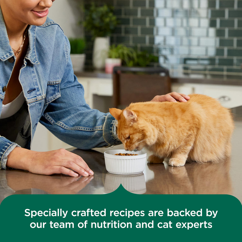 Indoor Complete Dry Cat Food 14 lb. Bag U2787
