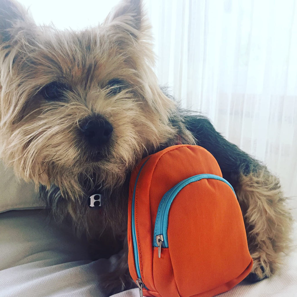 Orange Diabetic Supply Bag Y81085