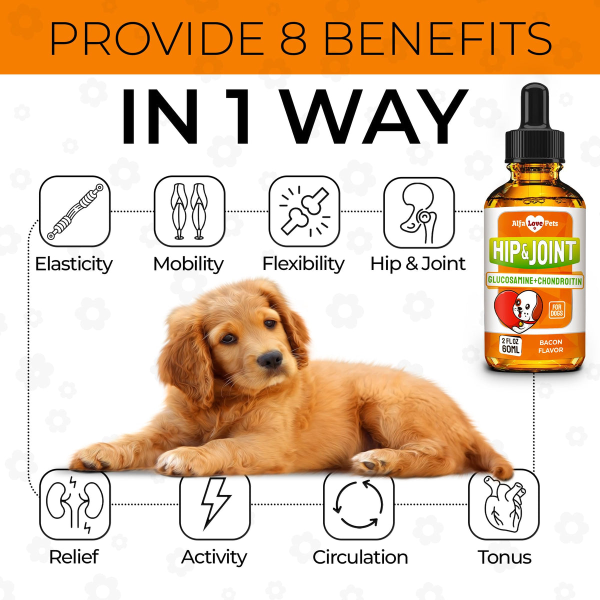 Liquid Glucosamine Chondroitin Dog Supplement 2 oz O926312