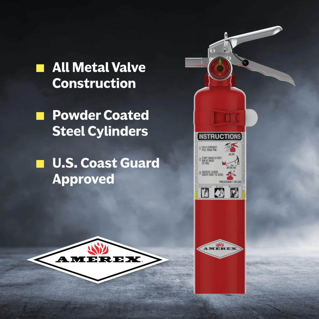2.5 lbs ABC Dry Chemical Fire Extinguisher L672953