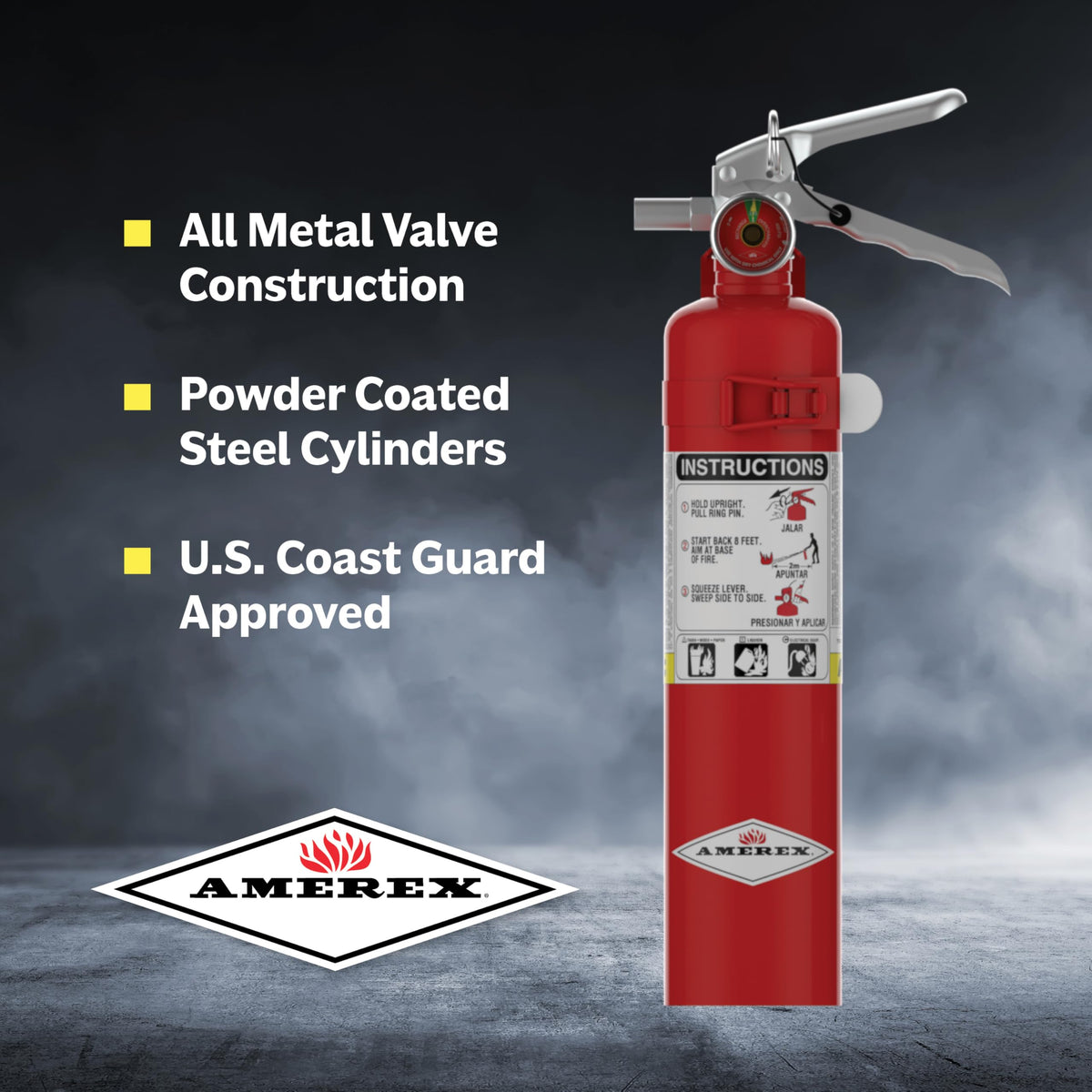 2.5 lbs ABC Dry Chemical Fire Extinguisher L672953
